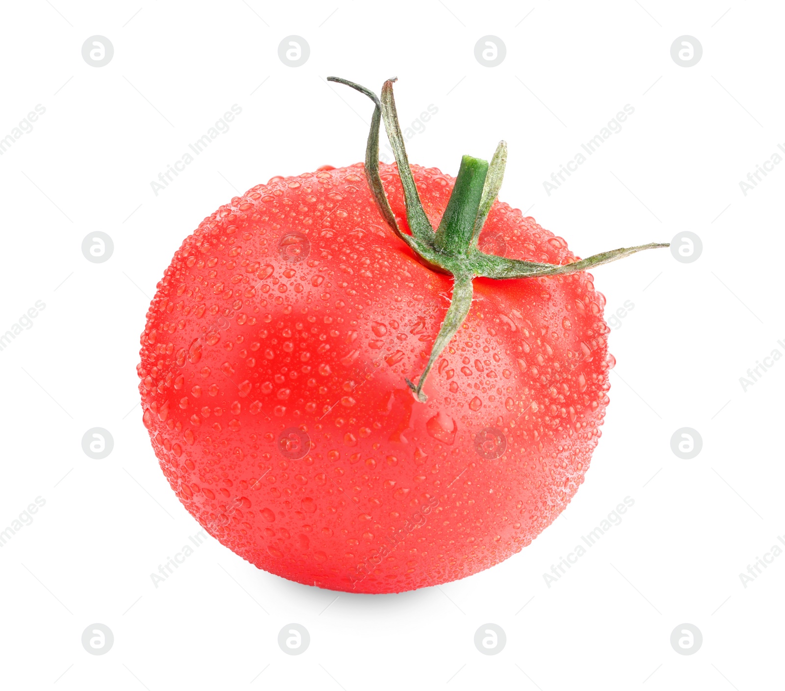 Photo of One red ripe tomato with water drops isolated on white