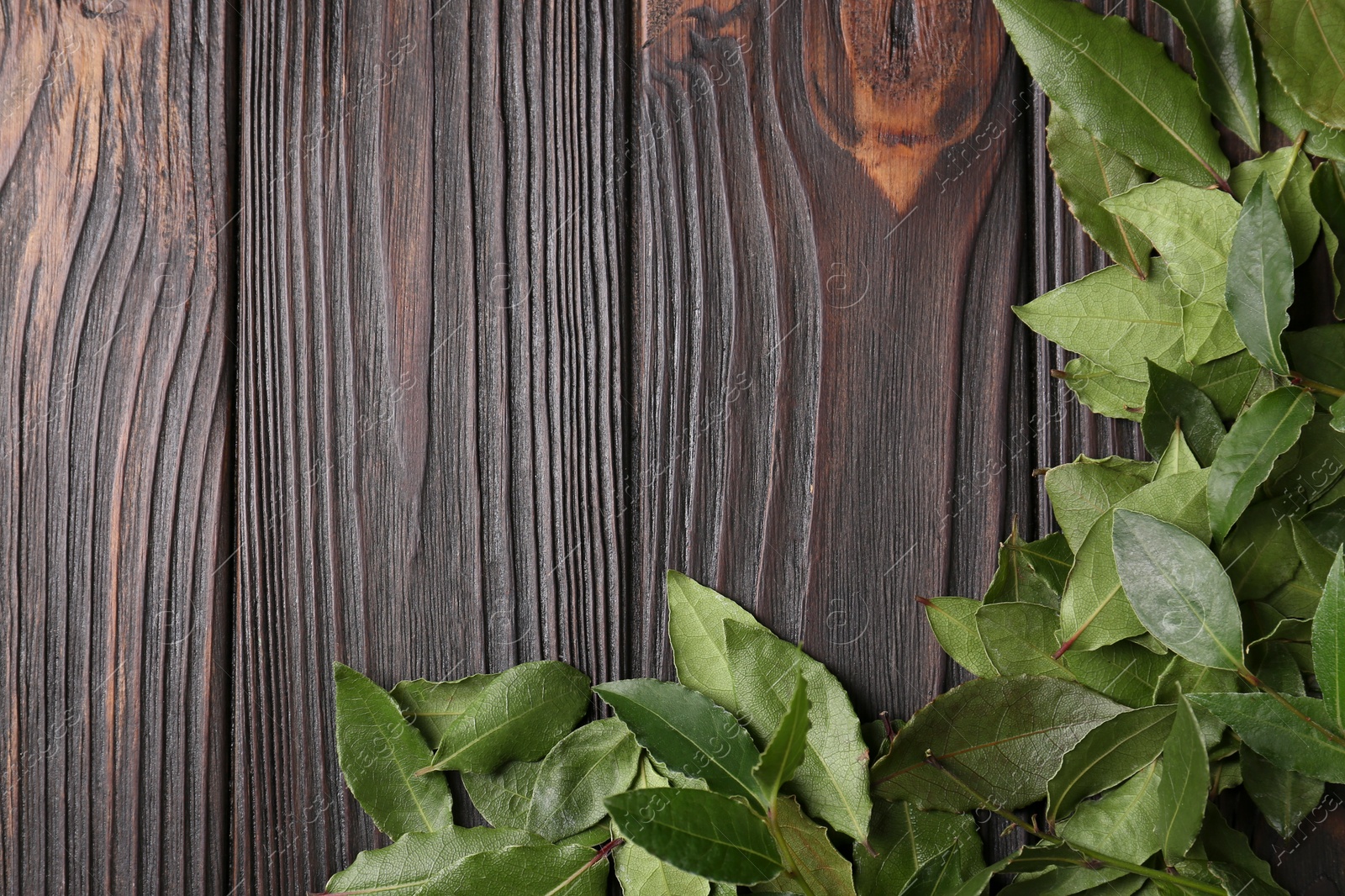 Photo of Fresh green bay leaves on wooden table, flat lay. Space for text