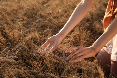 Woman in ripe wheat spikelets field, closeup
