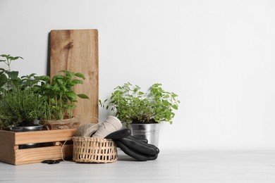 Photo of Different aromatic potted herbs, treads, scissors and gloves on white wooden table. Space for text