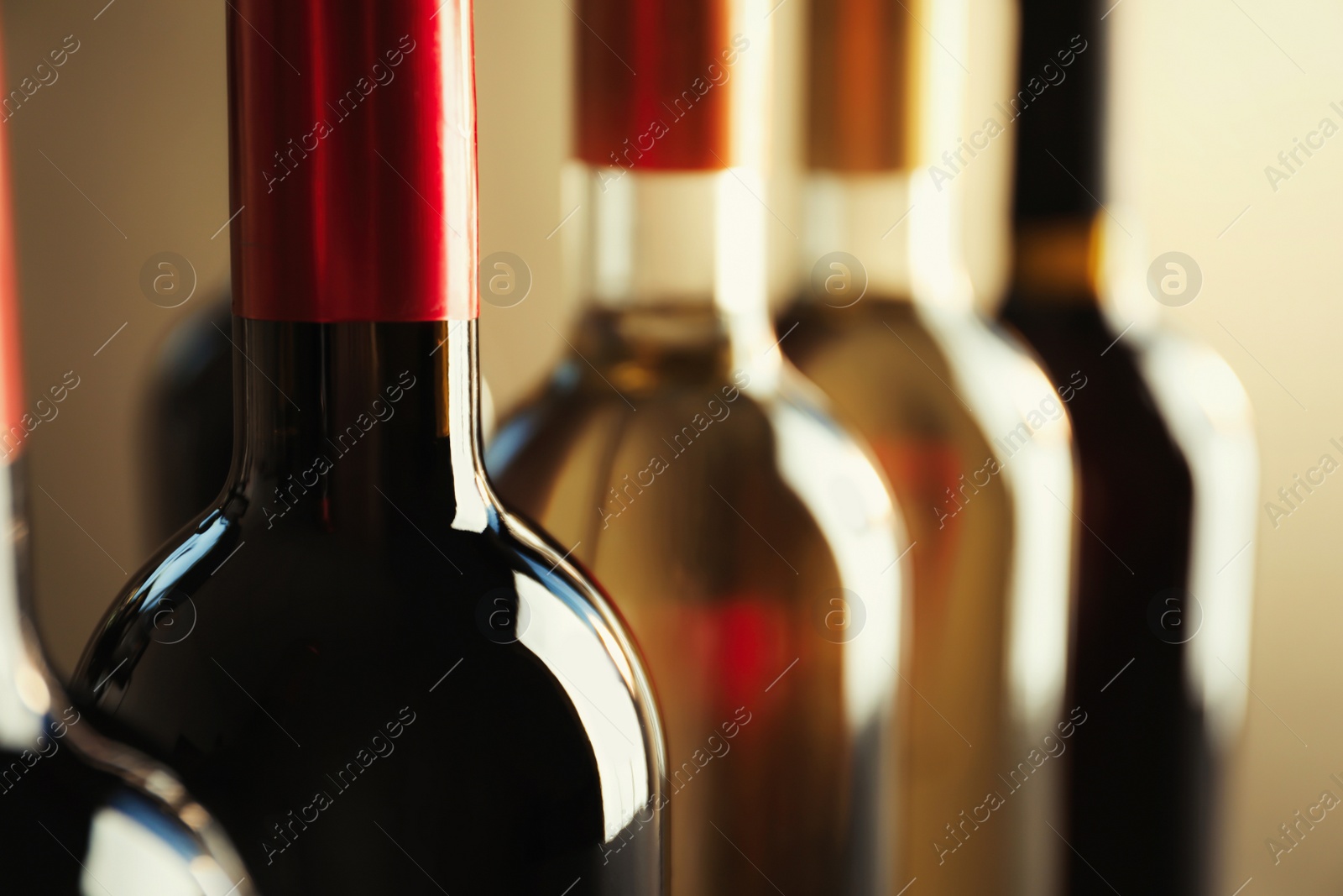 Photo of Bottles with delicious wine, closeup. Professional sommelier