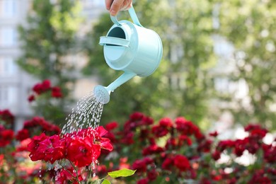 Photo of Woman watering fresh flower bed with can outdoors, closeup
