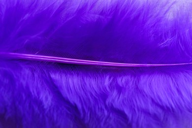 Closeup view of beautiful purple feather as background