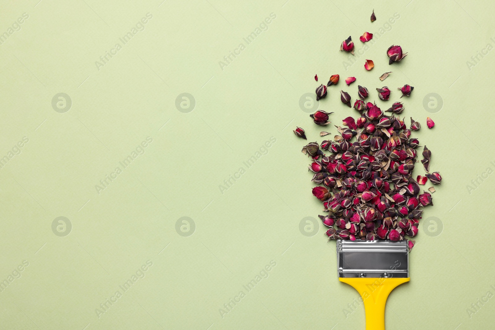 Photo of Creative flat lay composition with paint brush and dried rose buds on light green background. Space for text