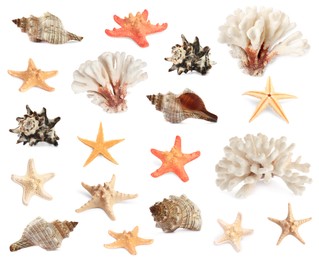 Set with sea stars, shells and corals isolated on white