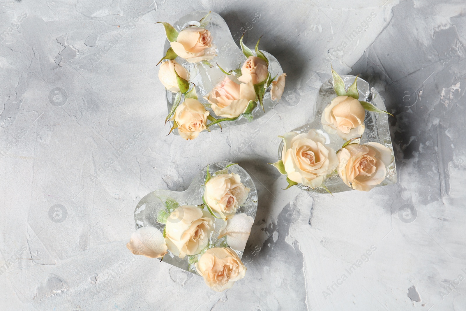 Photo of Heart shaped ice cubes with roses on grey background, flat lay composition