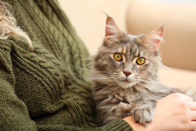 Photo of Woman with adorable Maine Coon cat at home, closeup