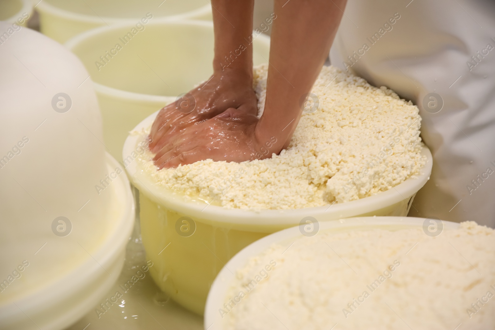 Photo of Worker pressing curd into mould at cheese factory, closeup