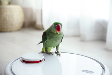 Photo of Modern robotic vacuum cleaner and Alexandrine parakeet on floor indoors