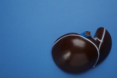 Photo of Model of liver on blue background, top view. Space for text