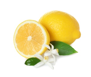 Ripe lemons, leaves and flowers on white background. Citrus fruit