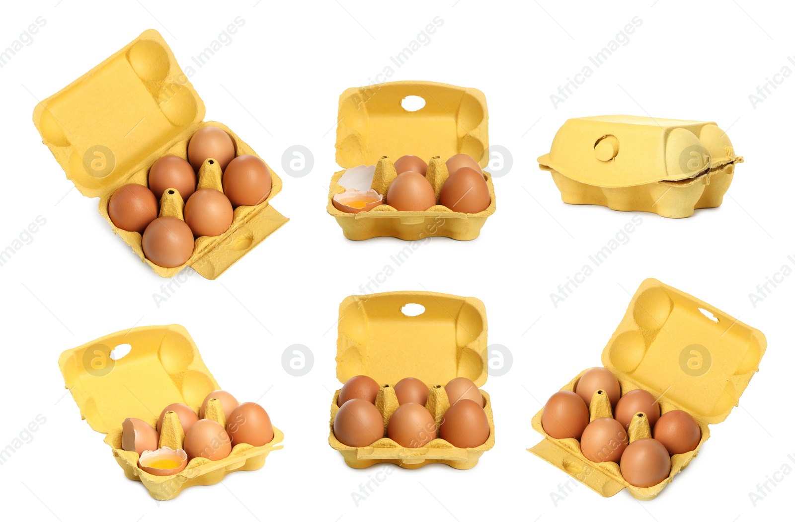 Image of Brown chicken eggs in egg cartons isolated on white, set