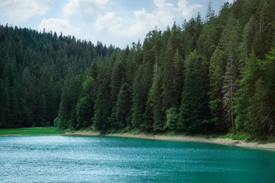 Photo of Picturesque view of clear lake near forest