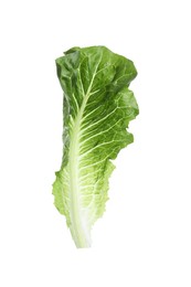 Photo of Fresh leaf of green romaine lettuce isolated on white