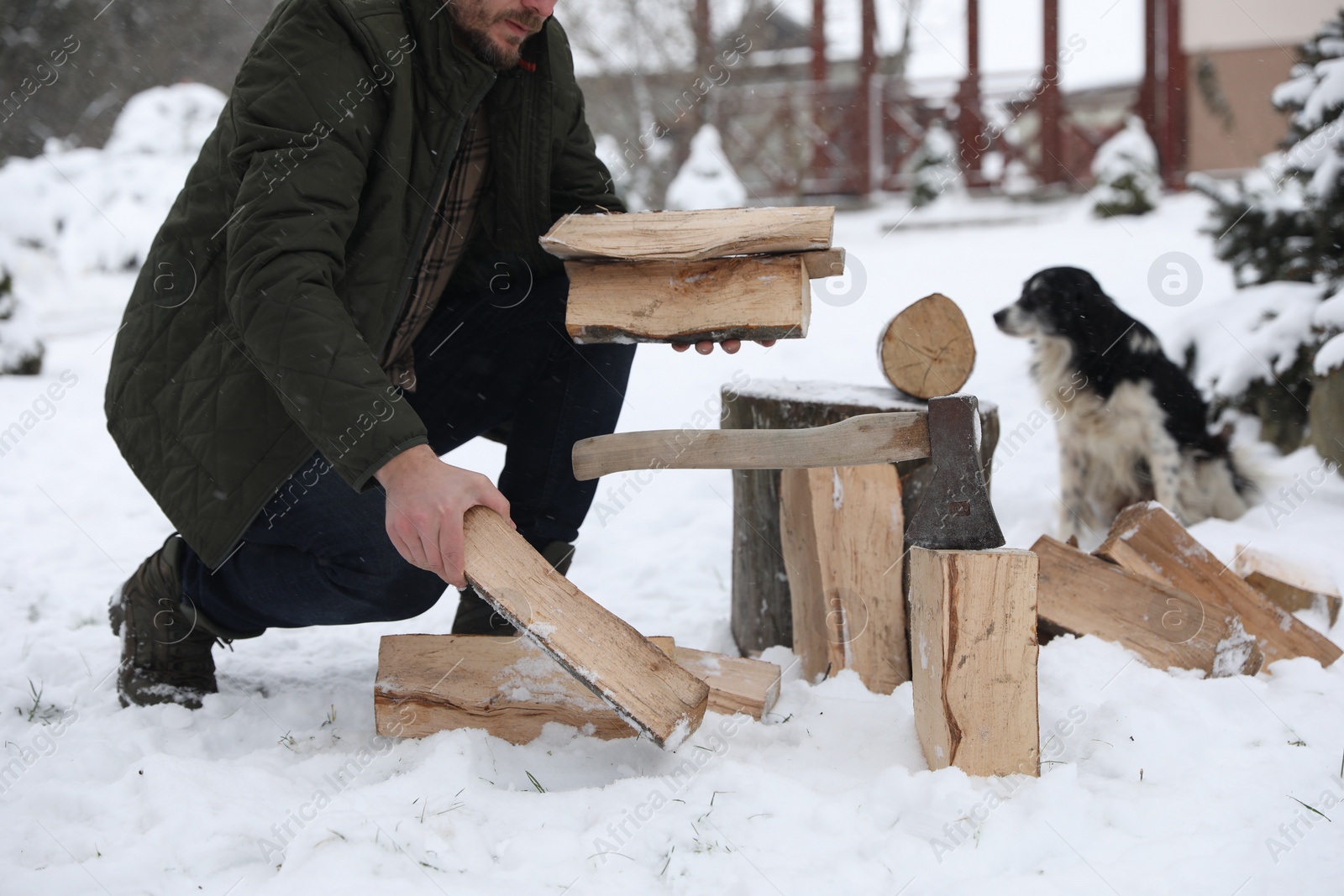 Photo of Man chopping wood with axe next to cute dog outdoors on winter day, closeup