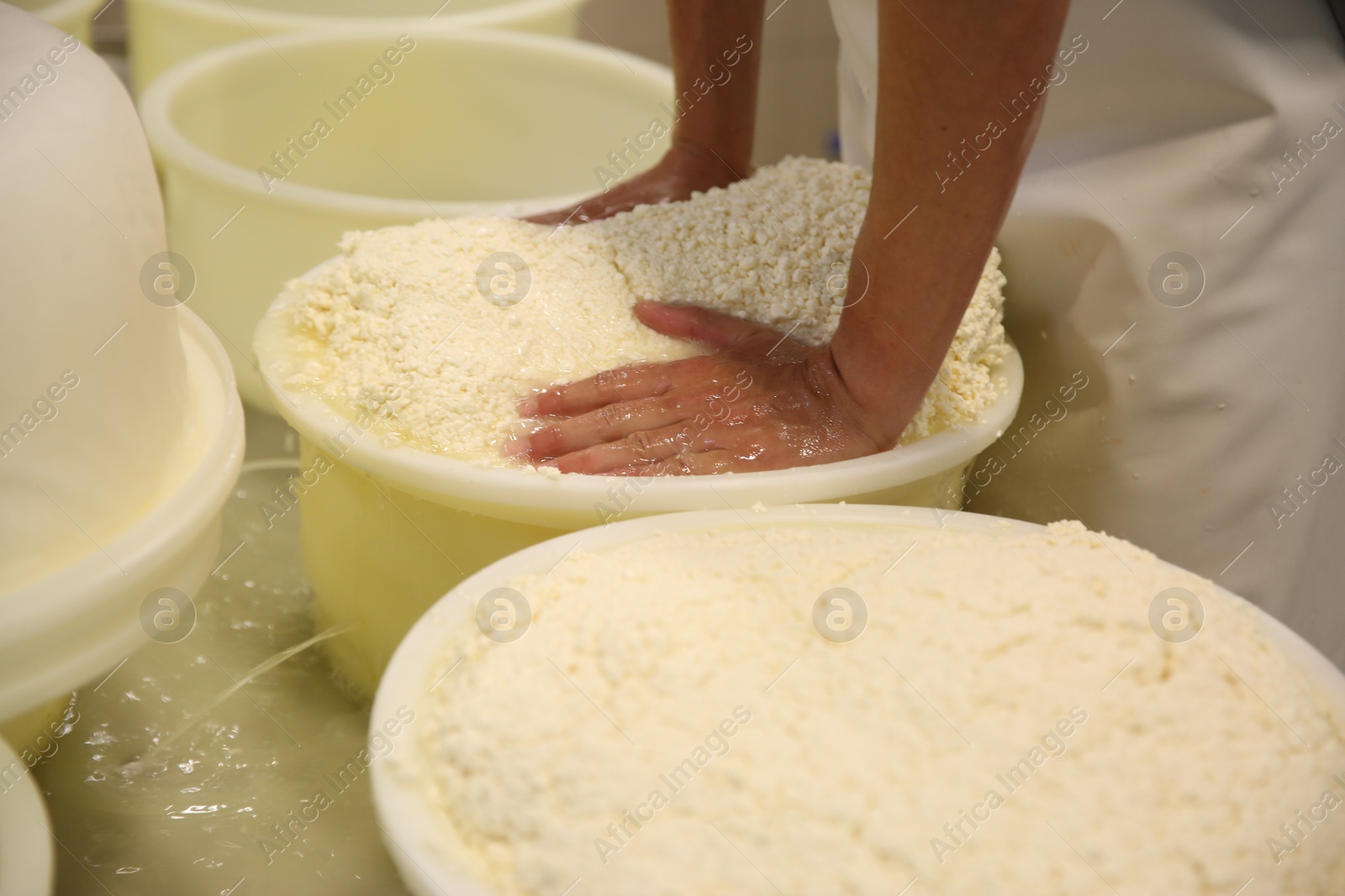 Photo of Worker pressing curd into mould at cheese factory, closeup