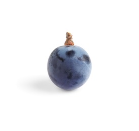 Photo of Delicious ripe dark blue grape isolated on white