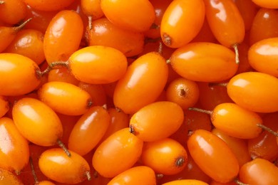 Many ripe sea buckthorn berries as background, top view