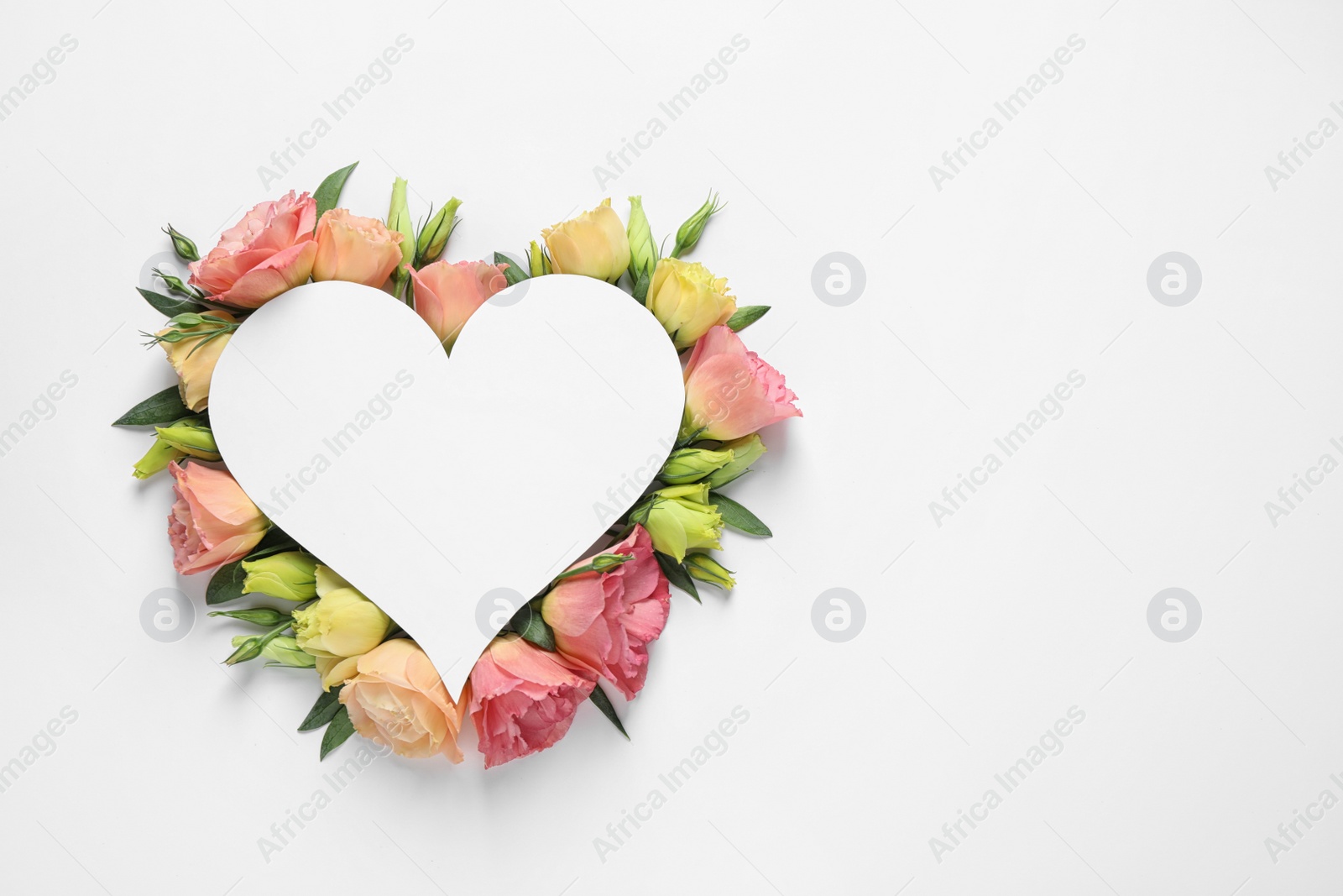 Photo of Beautiful Eustoma flowers and card on white background, top view. Space for text