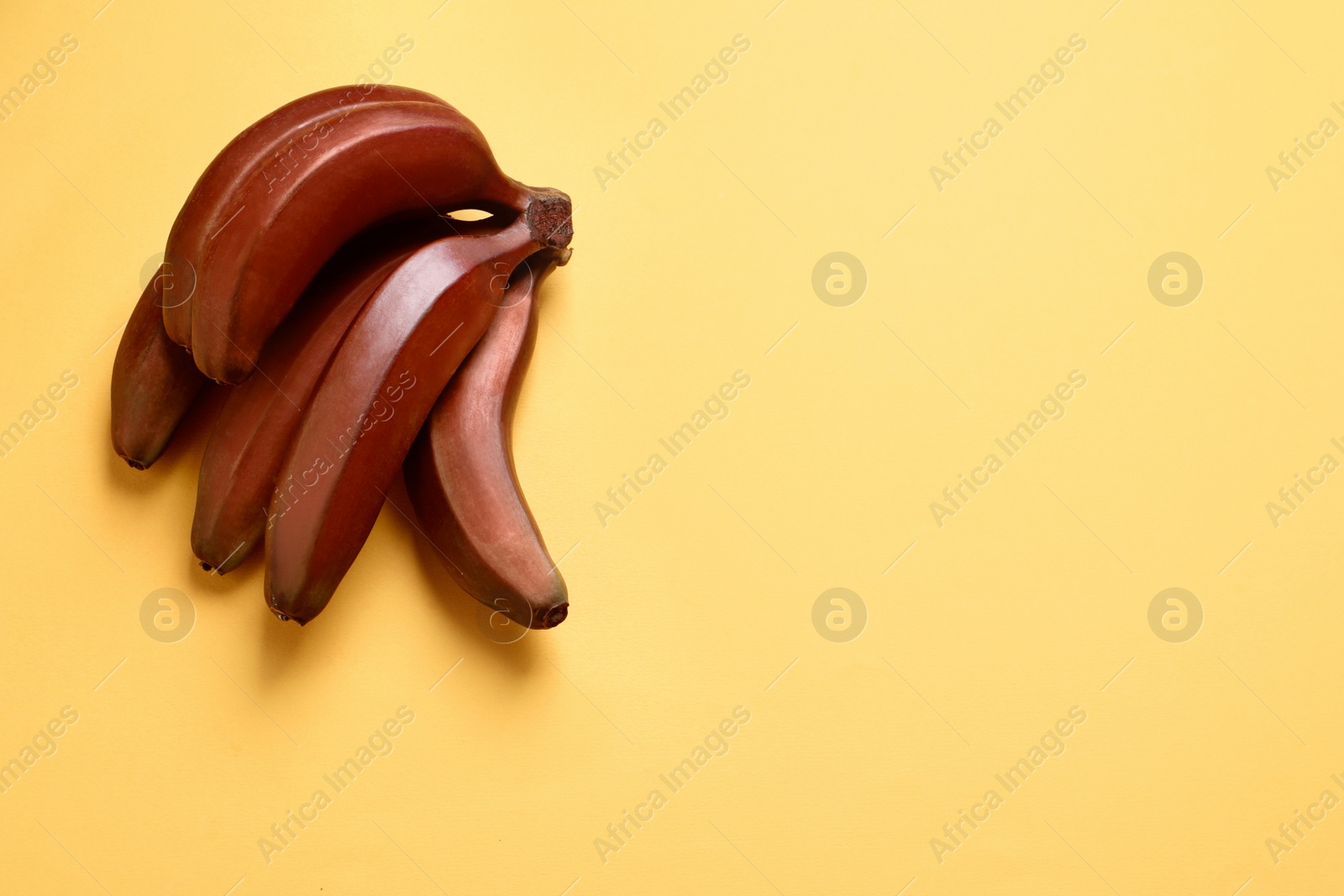 Photo of Tasty red baby bananas on yellow background, top view. Space for text