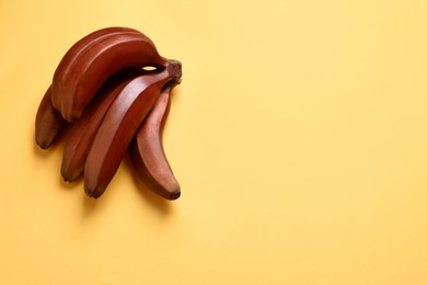 Tasty red baby bananas on yellow background, top view. Space for text