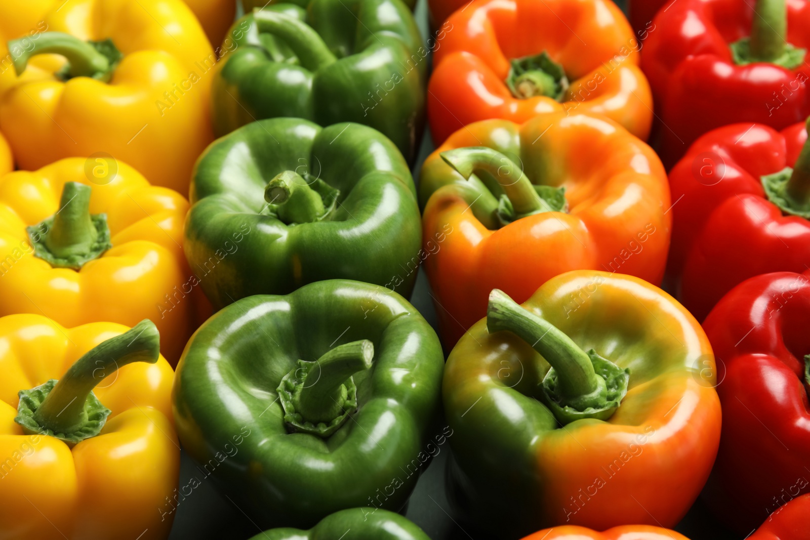 Photo of Colorful paprika peppers on grey background, closeup