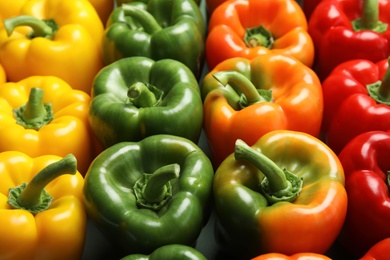 Photo of Colorful paprika peppers on grey background, closeup