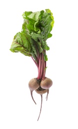 Bunch of fresh beets with leaves on white background