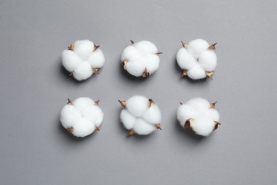 Photo of Fluffy cotton flowers on grey background, flat lay