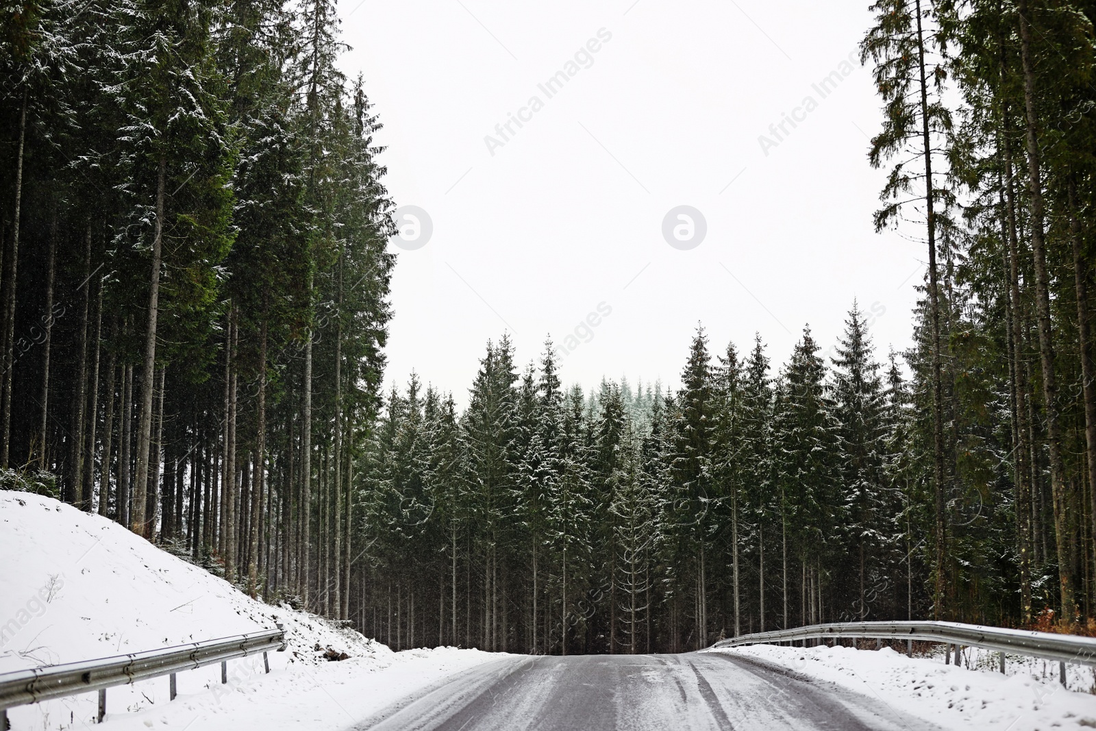 Photo of Beautiful landscape with conifer forest and road on snowy winter day