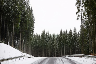 Beautiful landscape with conifer forest and road on snowy winter day