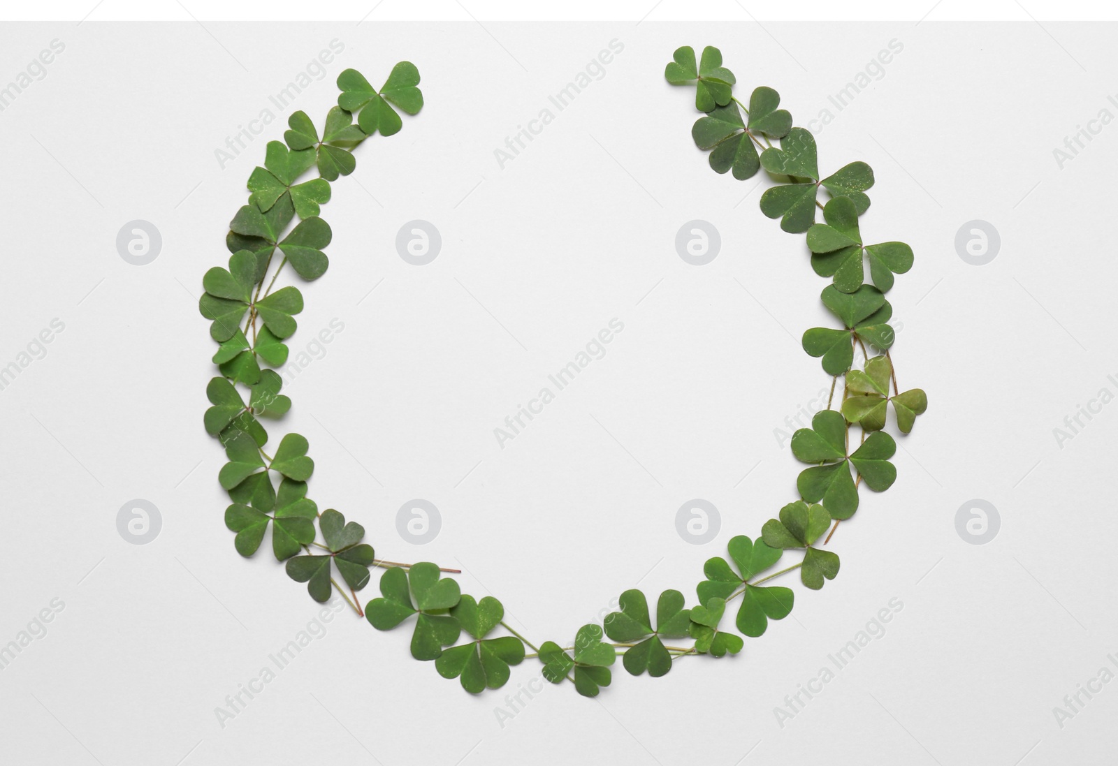 Photo of Frame of green clover leaves on white background, flat lay. Space for text