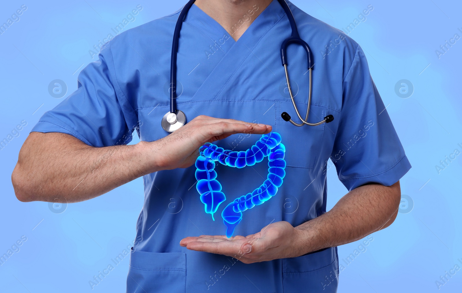 Image of Gastroenterologist holding illustration of large intestine on light blue background, closeup