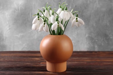 Photo of Beautiful snowdrops in vase on wooden table