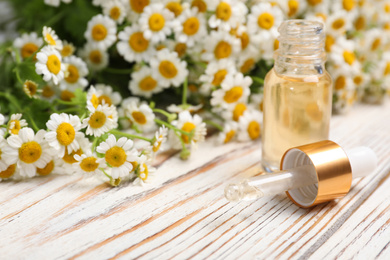 Photo of Composition with chamomile flowers and cosmetic oil on wooden table