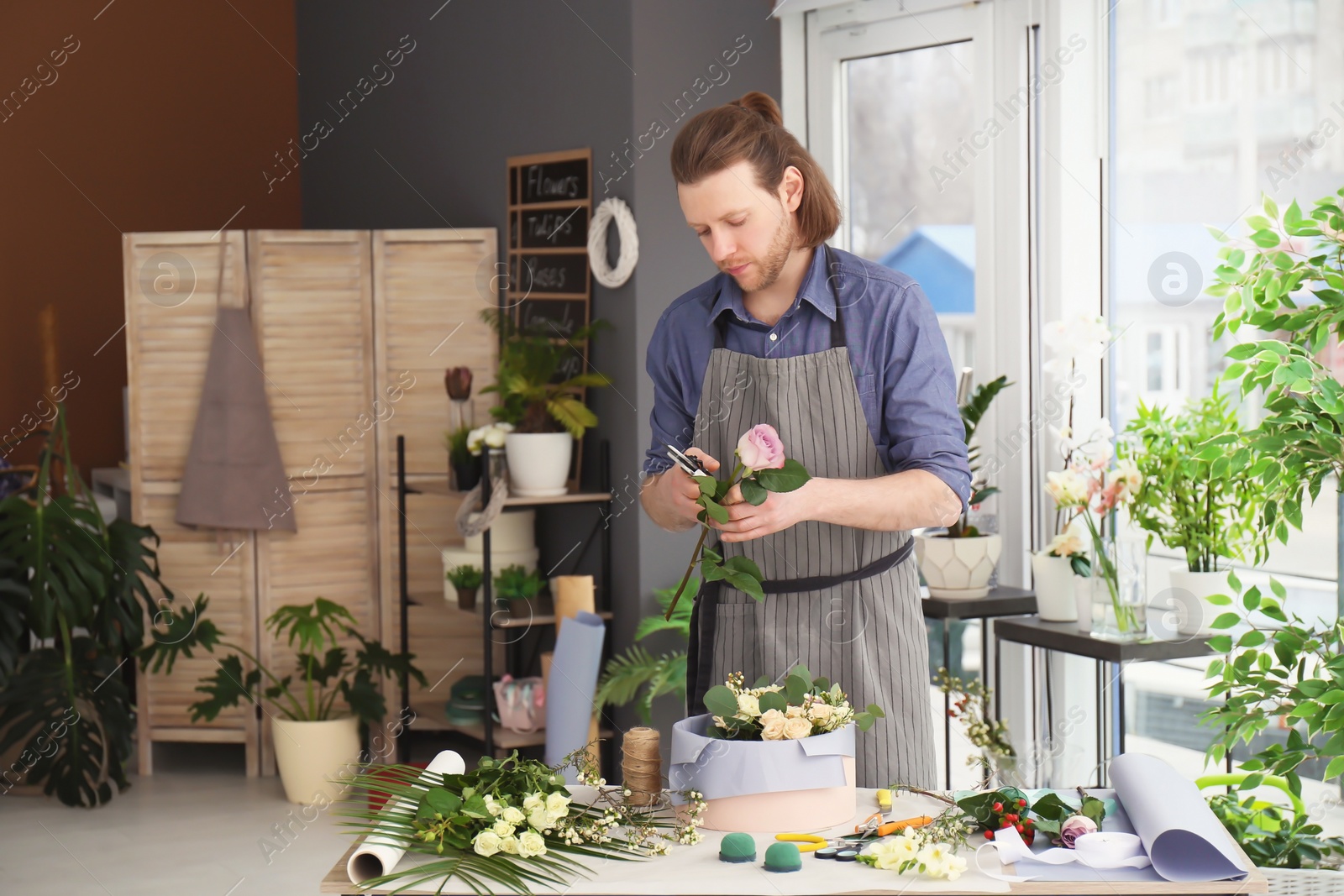 Photo of Male florist pruning rose at workplace