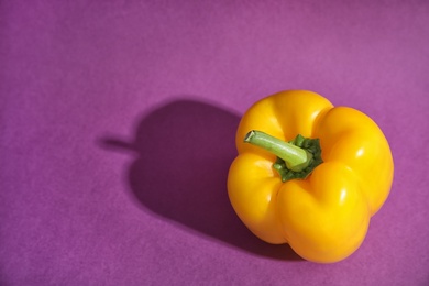 Raw ripe paprika pepper on color background