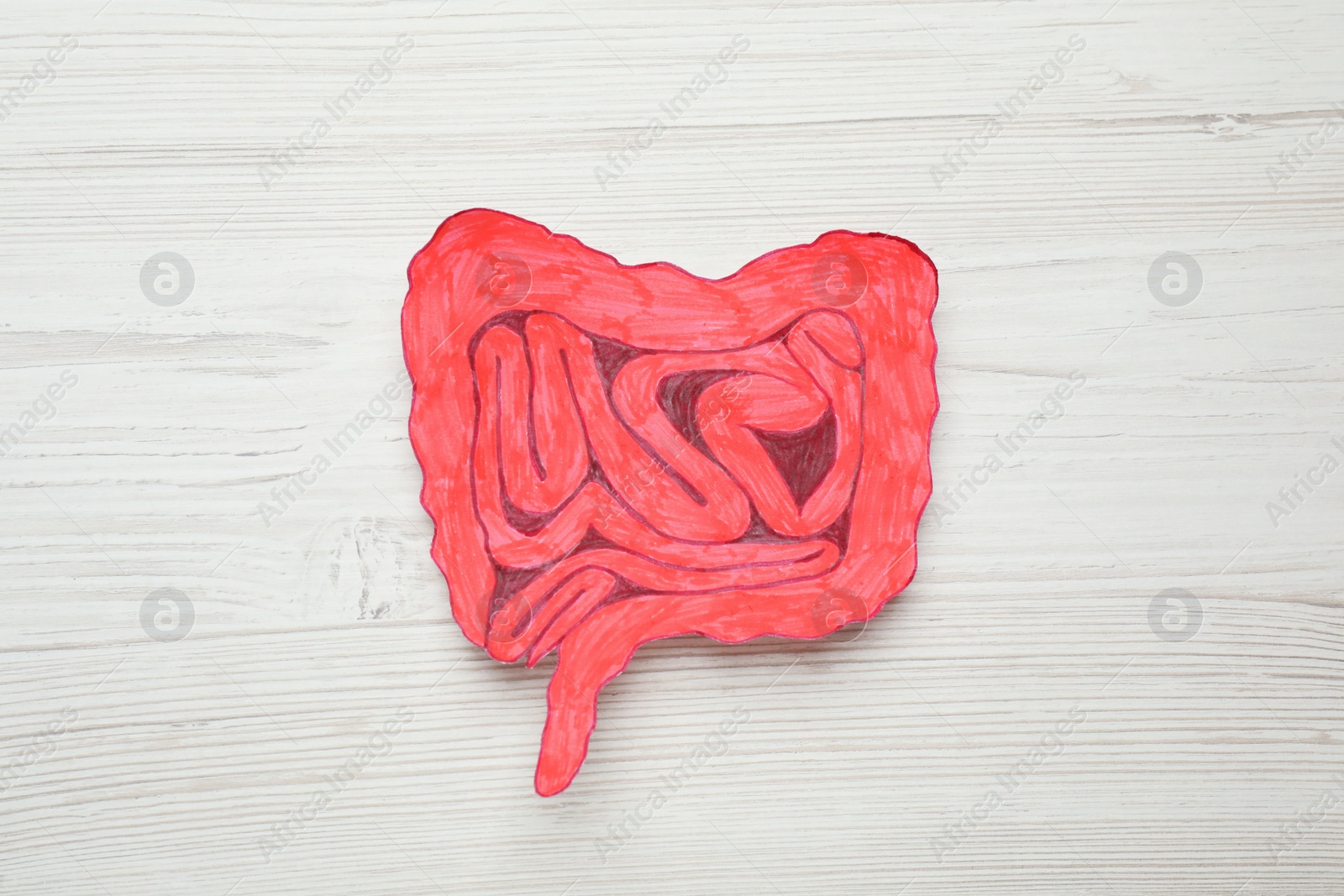 Photo of Paper cutout of small intestine on white wooden background, top view