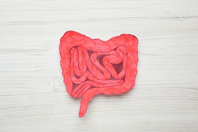 Photo of Paper cutout of small intestine on white wooden background, top view