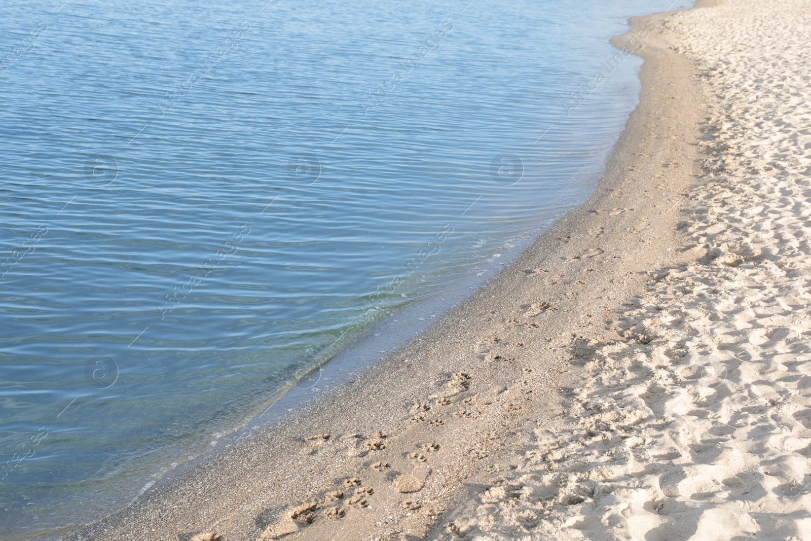 Photo of View of sea water and beach sand on sunny summer day