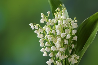 Beautiful lily of the valley flowers with leaves on blurred green background, closeup. Space for text