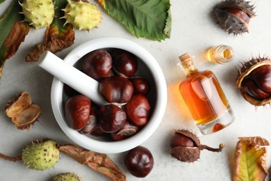 Photo of Flat lay composition with fresh horse chestnuts and tincture on grey table