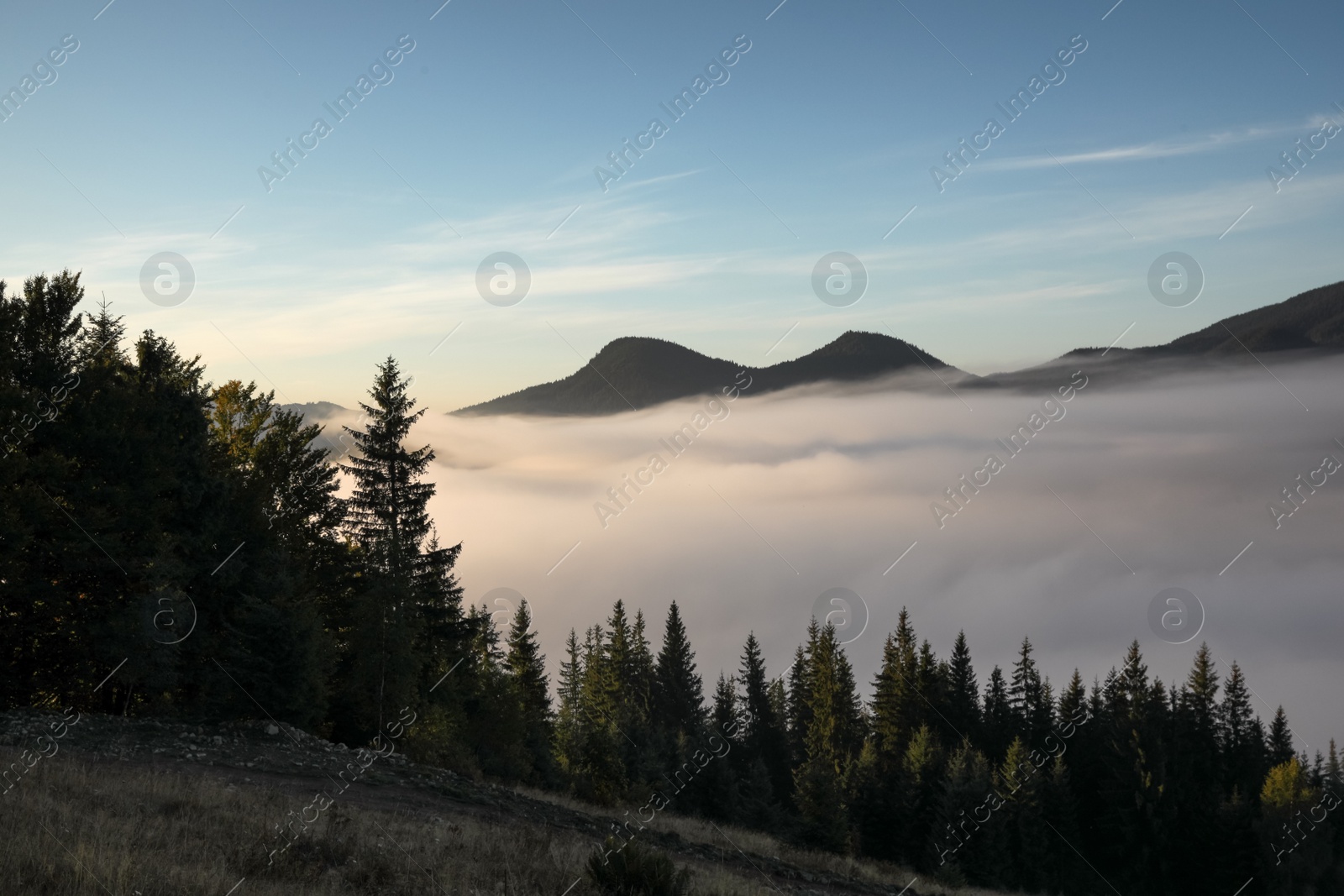 Photo of Beautiful view of mountains covered with fog at sunrise