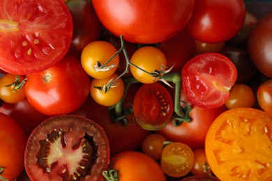 Many fresh ripe whole and cut tomatoes as background, top view