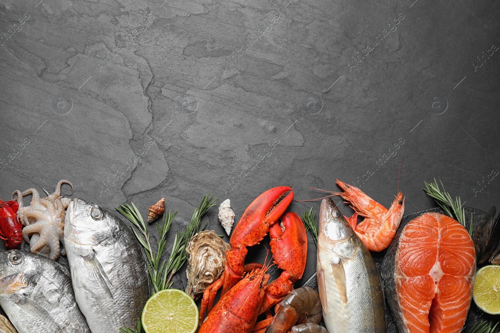 Photo of Fresh fish and different seafood on black table, flat lay. Space for text