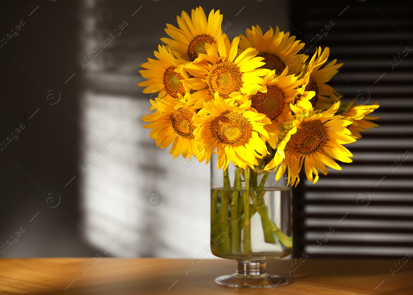 Photo of Bouquet of beautiful sunflowers on table in room. Space for text