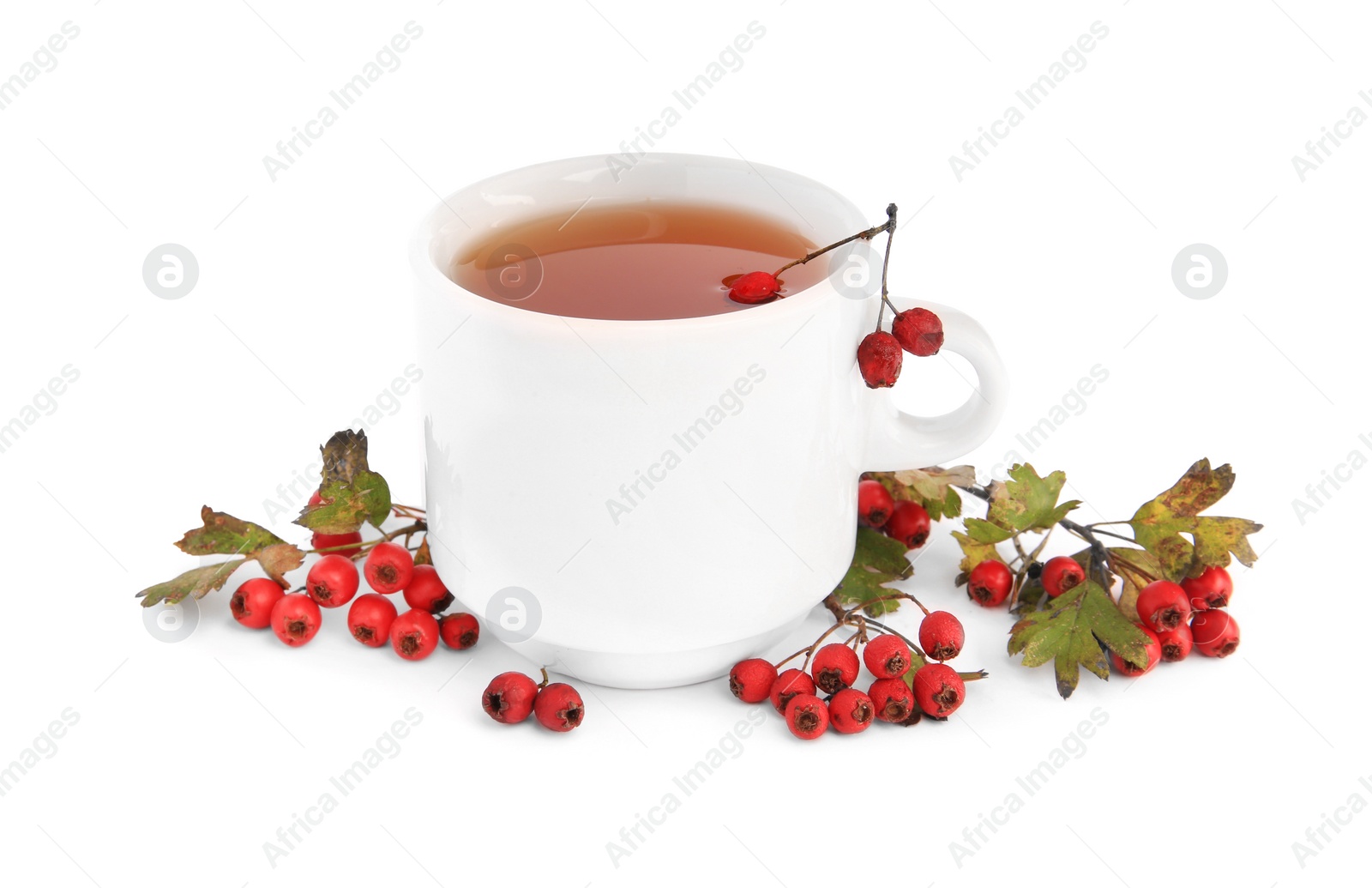 Photo of Aromatic hawthorn tea in cup and berries isolated on white