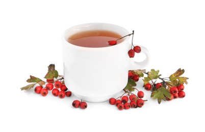 Photo of Aromatic hawthorn tea in cup and berries isolated on white