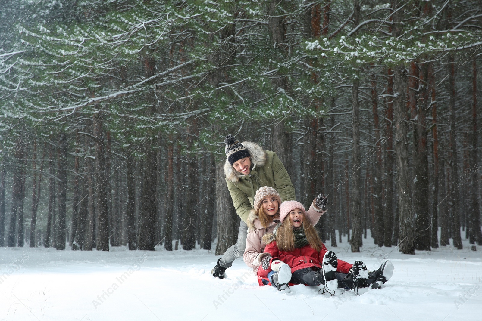 Photo of Happy family sledding in forest on snow day