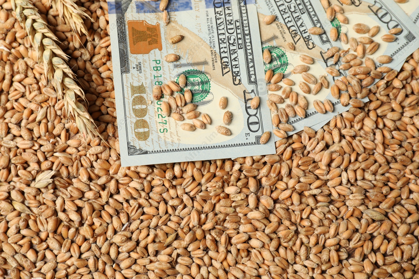 Photo of Dollar banknotes and wheat ears on grains, top view. Agricultural business